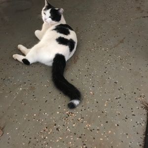 Meet your Posher, Kai